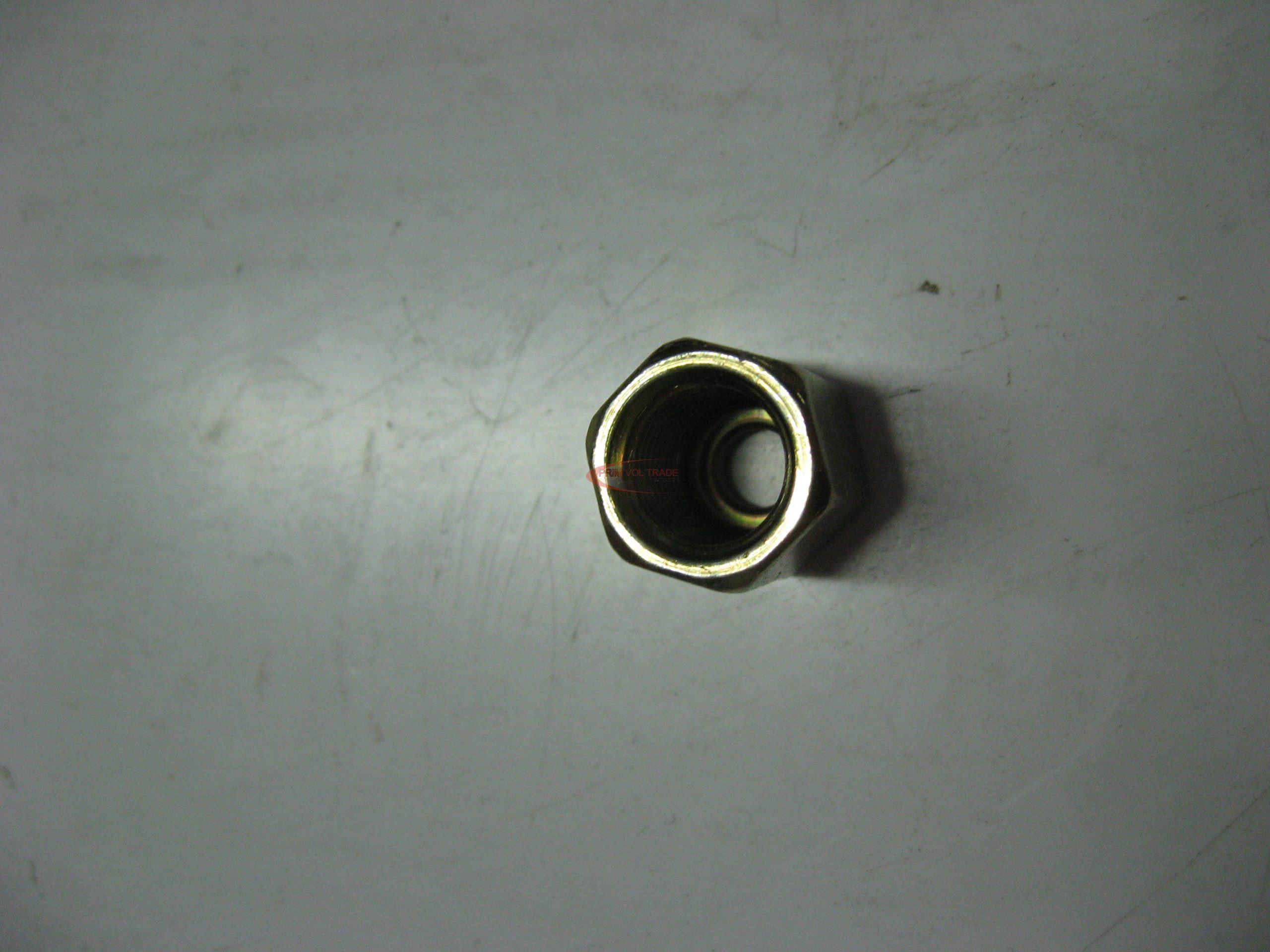11804_0.jpg Hollandi anya