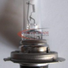 Izzó 24V H7/100W