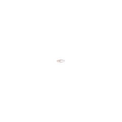 0005443511 - Világító prizma
