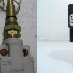 Hőfokszabályzó TW550.03