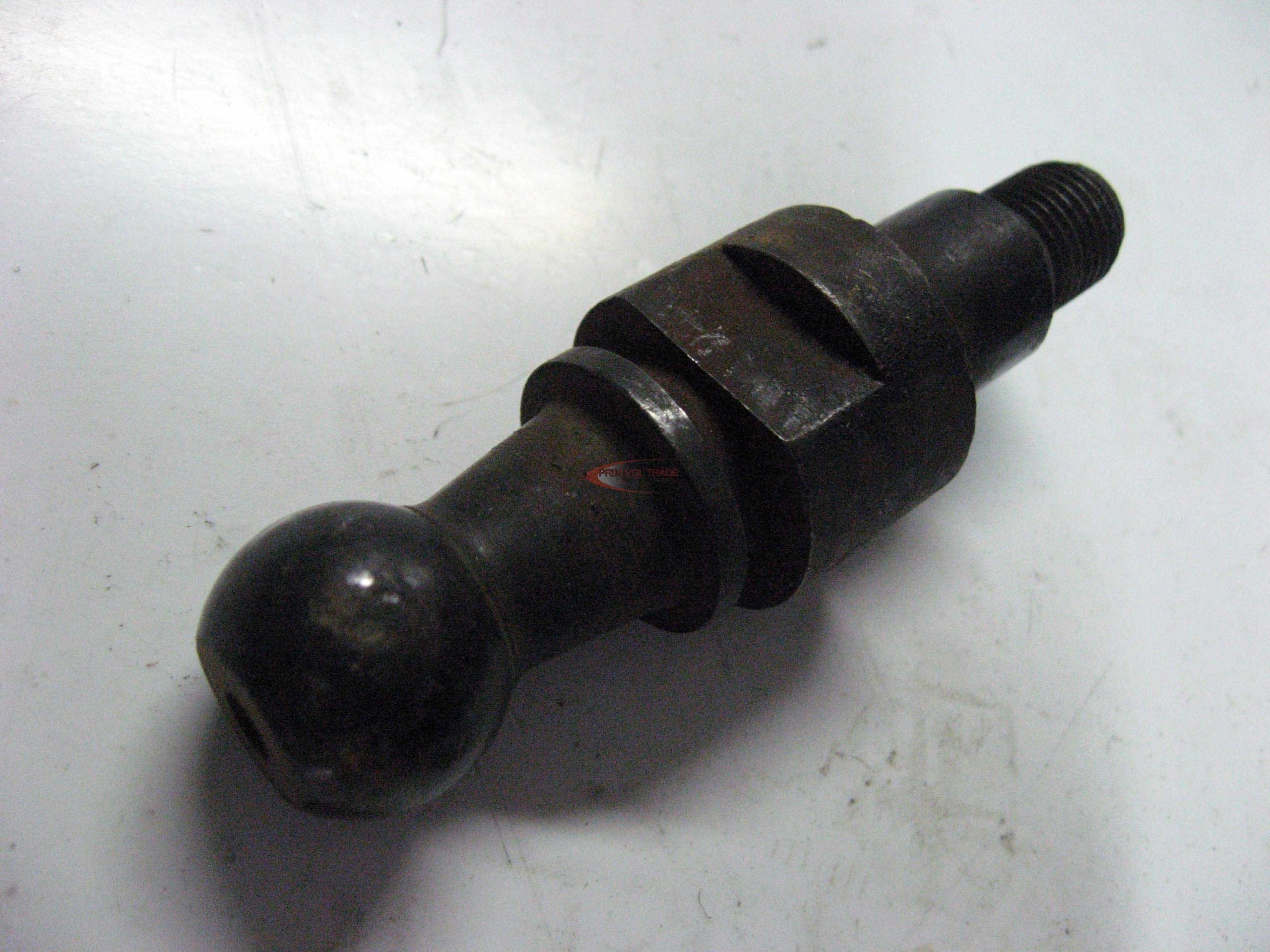 6004_0.jpg Gombos kar