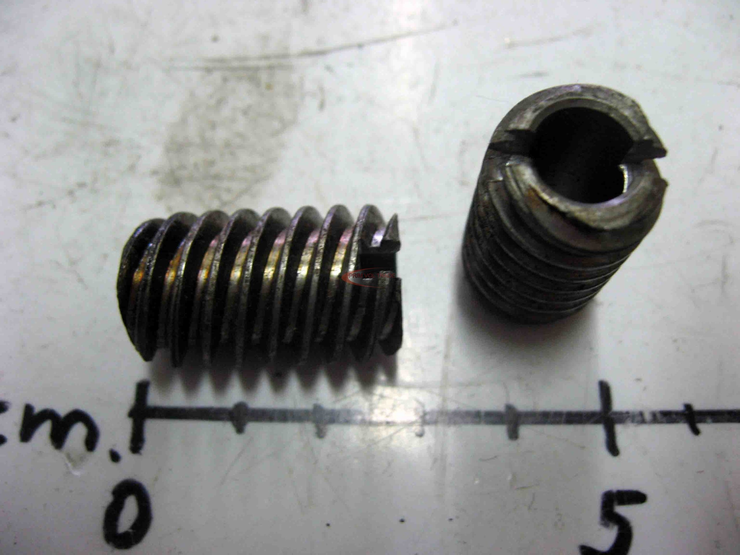 7130_0.jpg Csiga lev hornyolt